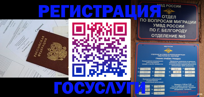 пропишу в квартире в Калининграде